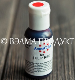 17gelkrasamerikolorkrasntulpan121216